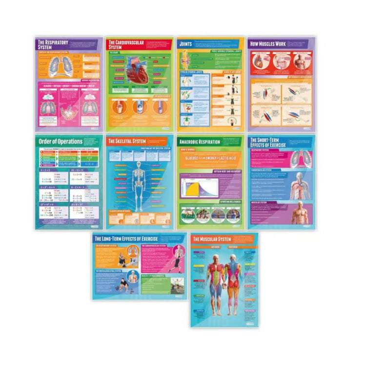 Applied Anatomy & Physiology Posters (9 Posters) – HMGDirect