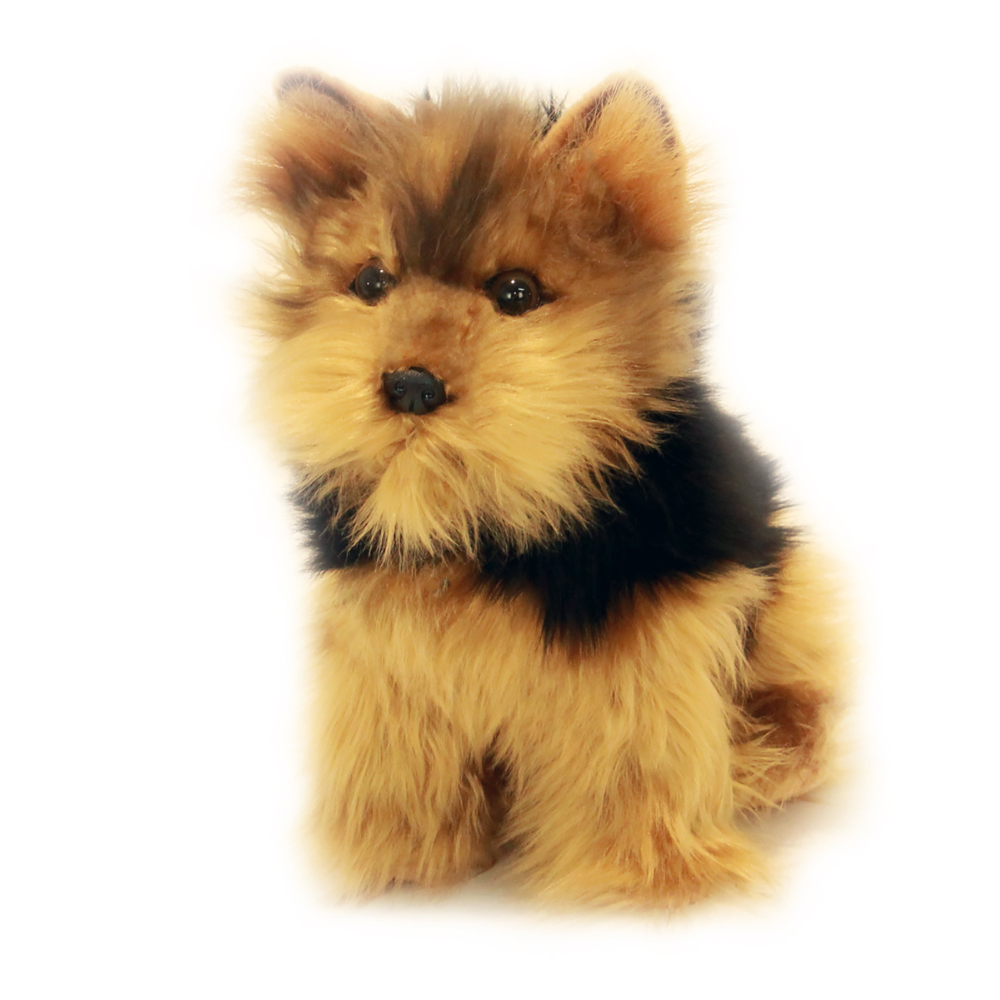 Archie Lifelike Australian Yorkshire Terrier Plush Toy | HMGDIRECT ...