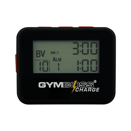 Gymboss watch hot sale