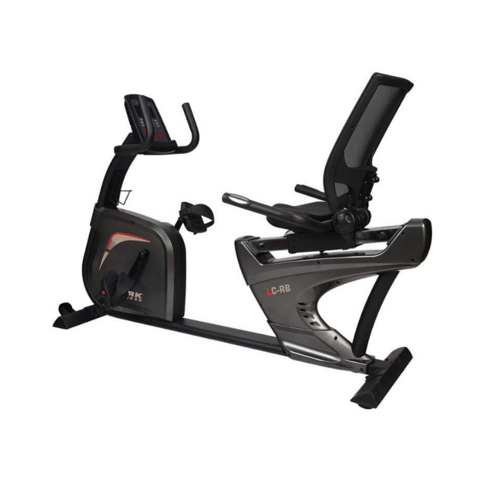 York LC RB Light Commercial Recumbent Exercise Bike